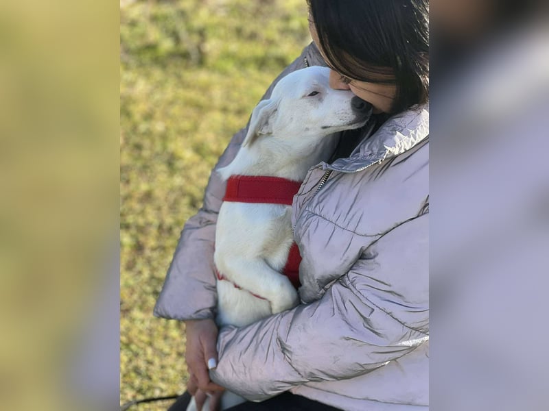 Kleine Claire wünscht sich ein liebevolles Zuhause