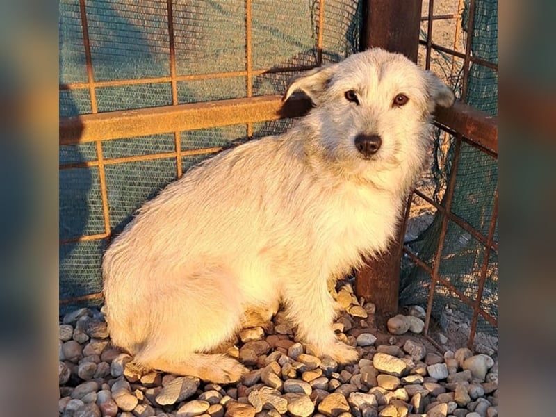 BLANCA
