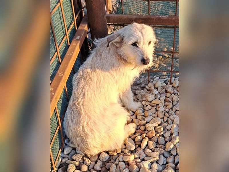 BLANCA