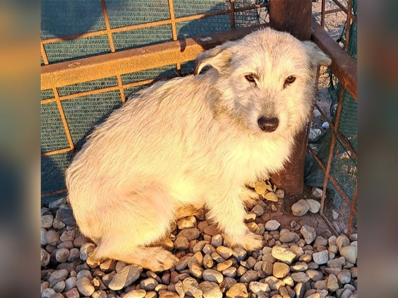 BLANCA