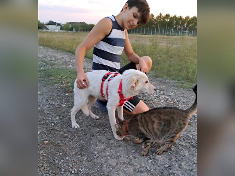 RIKSY