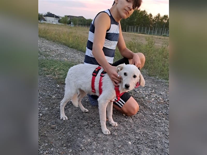 RIKSY