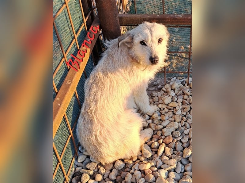 BLANCA