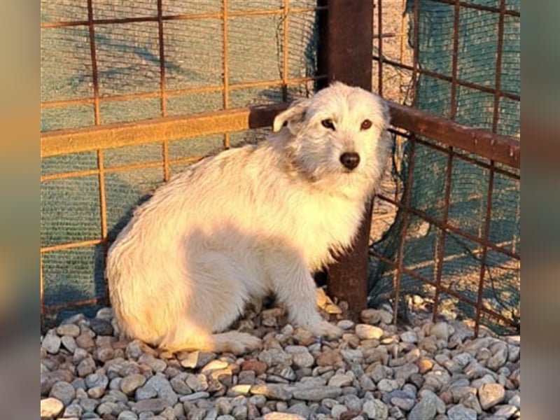 BLANCA