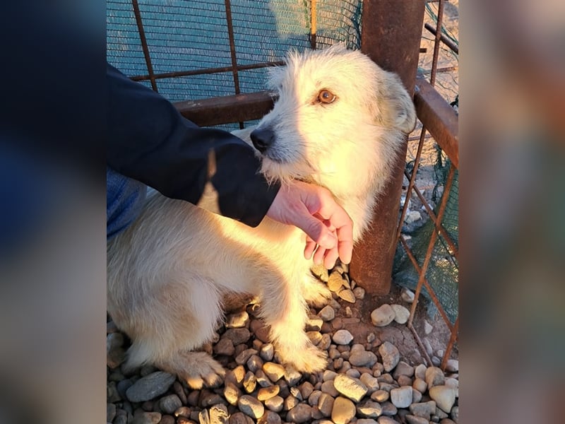 BLANCA