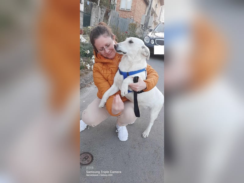 BAMBINA ❤ sucht Zuhause oder Pflegestelle