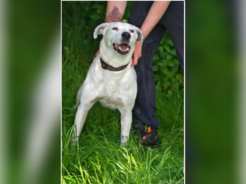 Raya wird leider immer wieder übersehen und sucht dringend ein Zuhause
