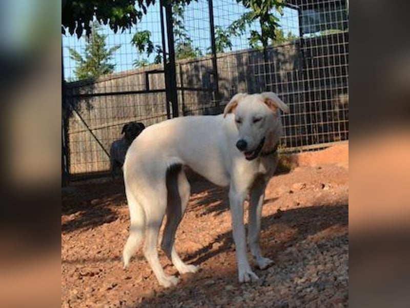 Zoe-Fee-sie suchte eine Unterkunfts Möglichkeit und die fand Sie letztendlich im Furry Tales Shelter