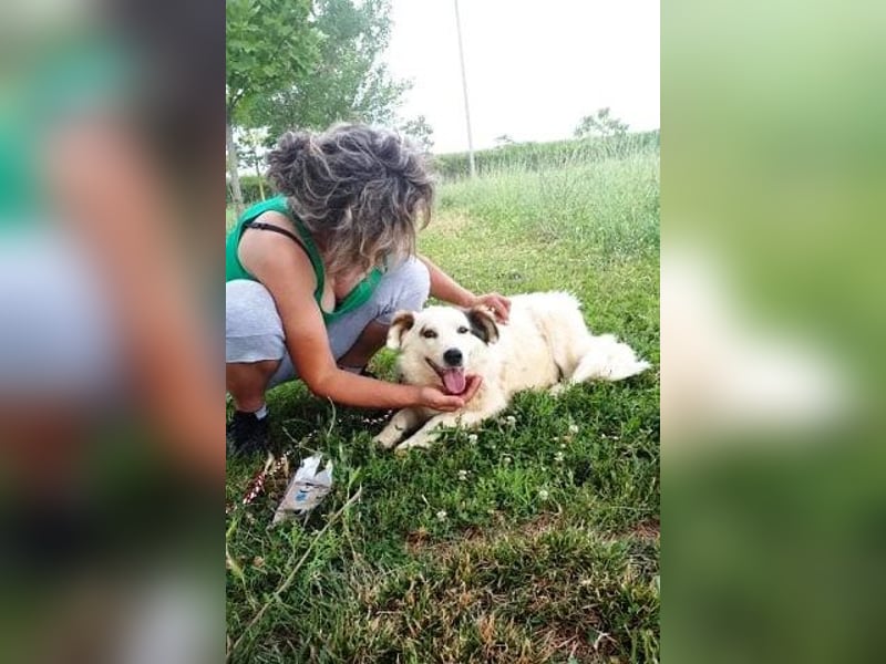 Jonna - nach über zwei Monaten endlich in der Obhut der Tierschützer