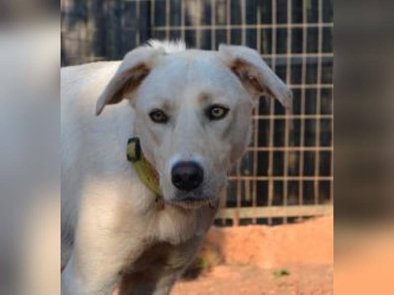 Zoe-Fee-sie suchte eine Unterkunfts Möglichkeit und die fand Sie letztendlich im Furry Tales Shelter