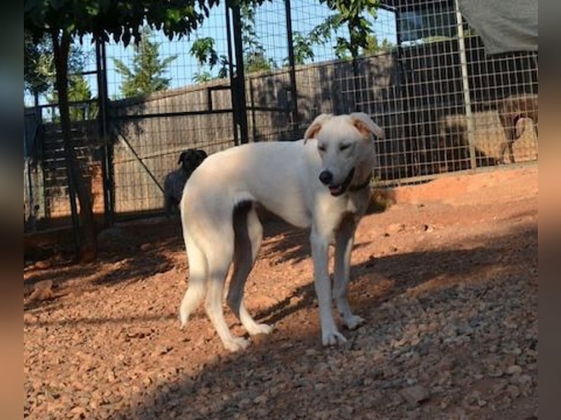 Zoe-Fee-sie suchte eine Unterkunfts Möglichkeit und die fand Sie letztendlich im Furry Tales Shelter