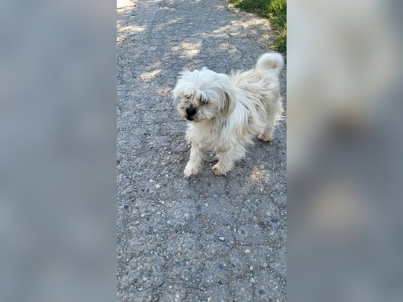 BECKS - tolle Freizeitpartnerin sucht ihr Glück