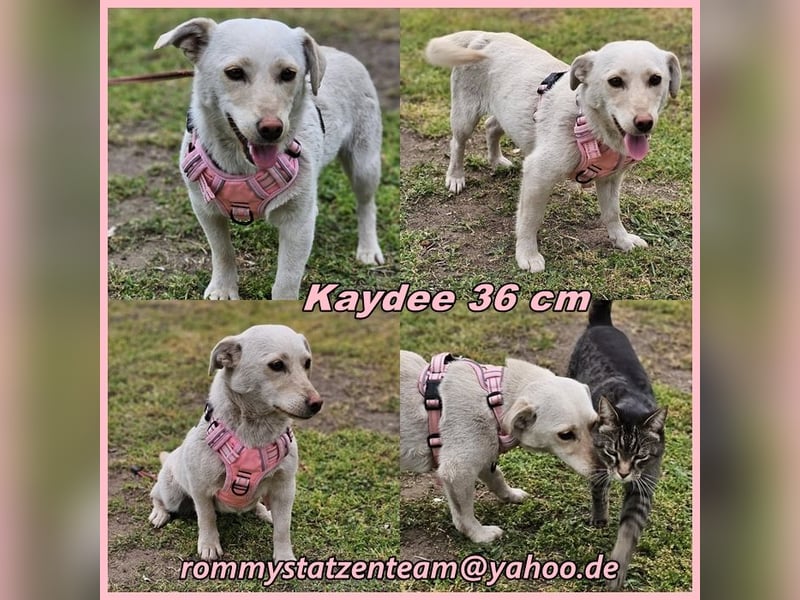 Kaydee möchte noch viel lernen