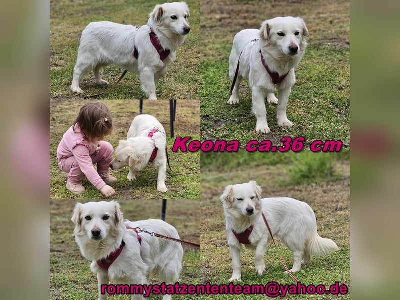 Keona ist freundlich und aufgeschlossen