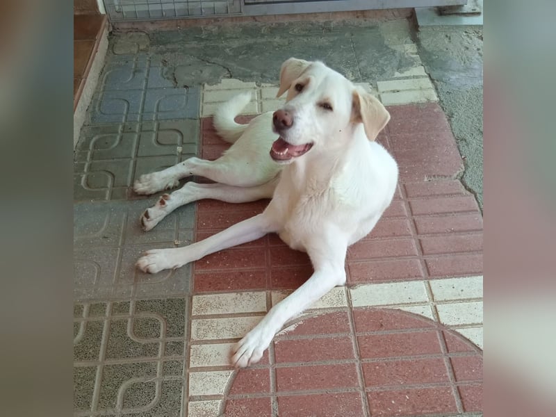 KHALEESI
