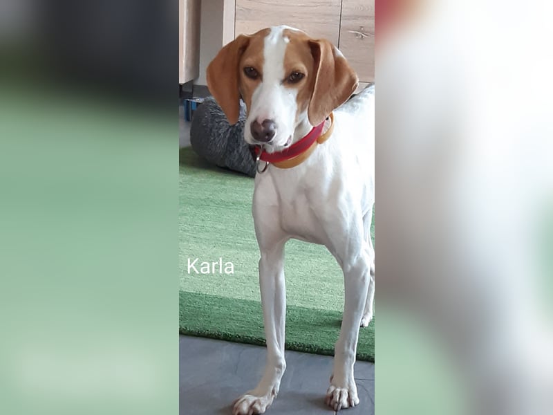 Blind Date? Karla mit dem zauberhaftem Wesen