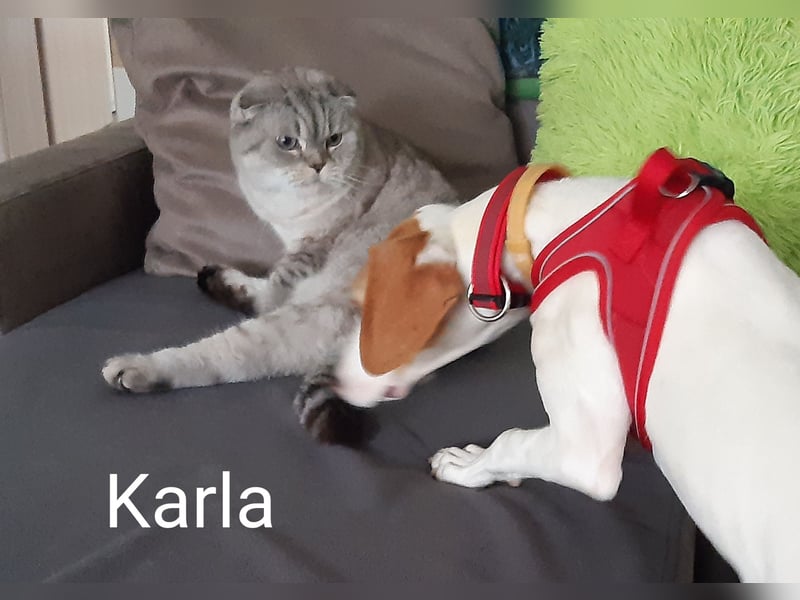 Blind Date? Karla mit dem zauberhaftem Wesen
