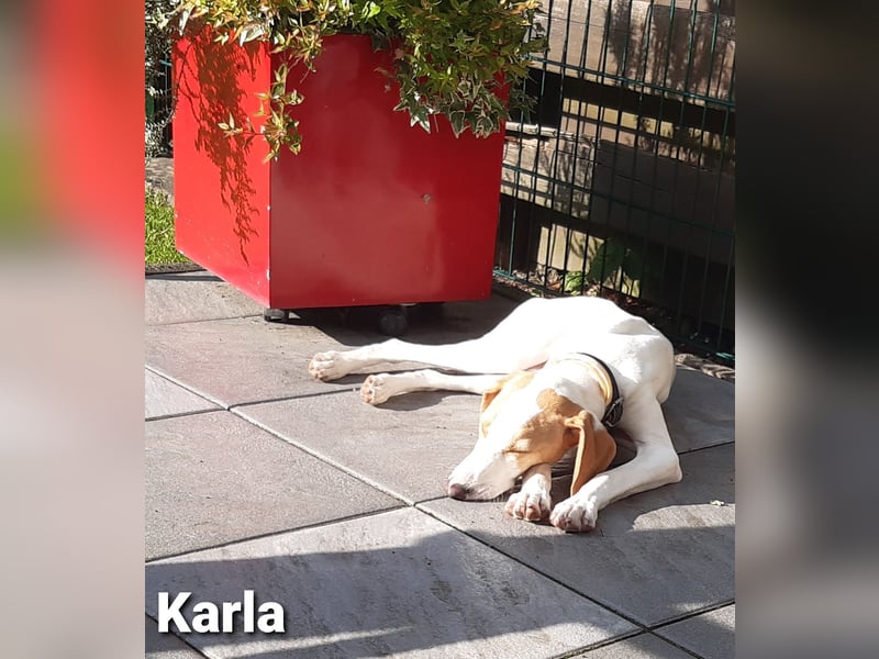 Blind Date? Karla mit dem zauberhaftem Wesen