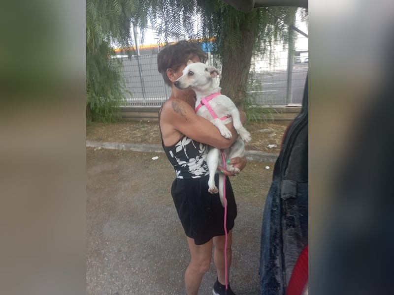 Camilla, a.d.Tierschutz, sucht Happy-Home