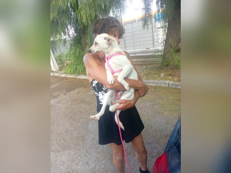 Camilla, a.d.Tierschutz, sucht Happy-Home