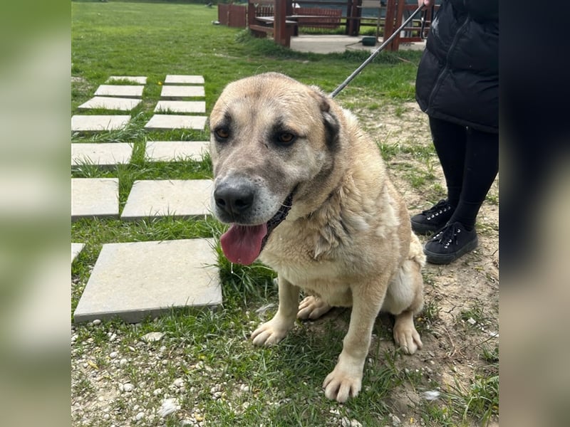 Sweetgirl Lea sucht ihr Zuhause ❤️