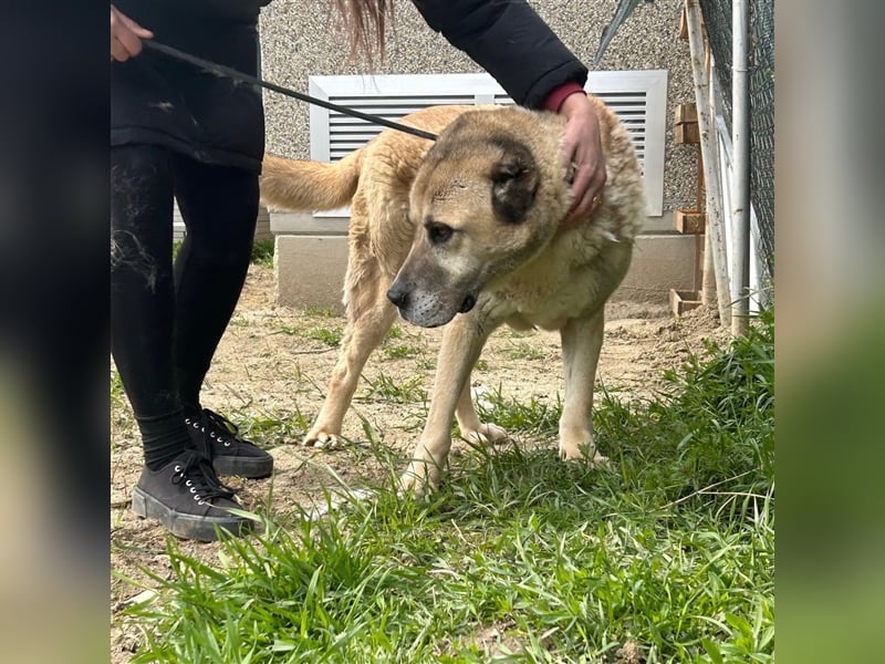 Sweetgirl Lea sucht ihr Zuhause ❤️