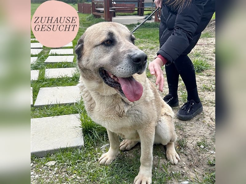 Sweetgirl Lea sucht ihr Zuhause ❤️