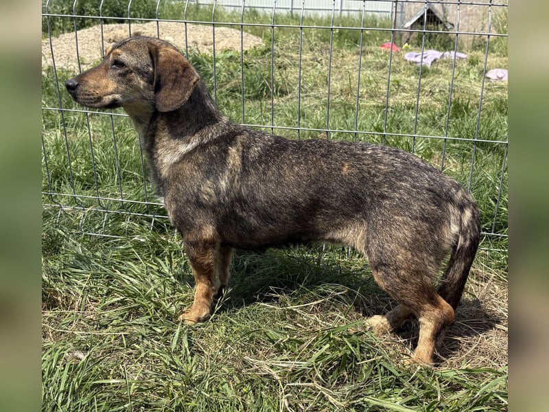 Leila - neugierig und interessiert