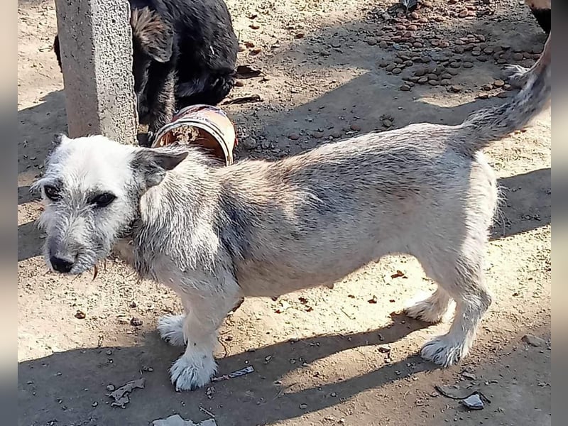 Liesel - freundlich und neugierig