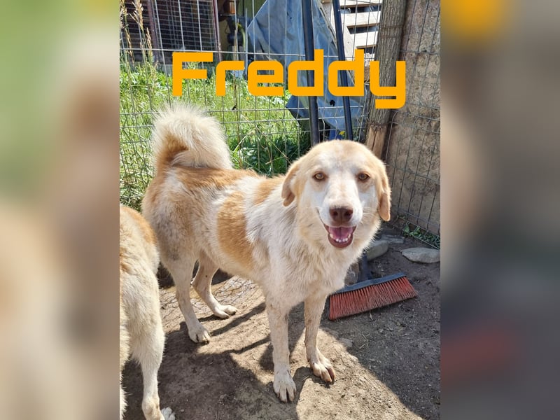 Freddy und Frieda - neugierige Geschwister
