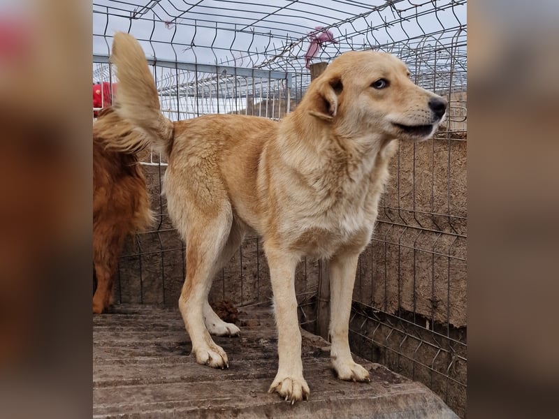 Sally - freundlich und interessiert