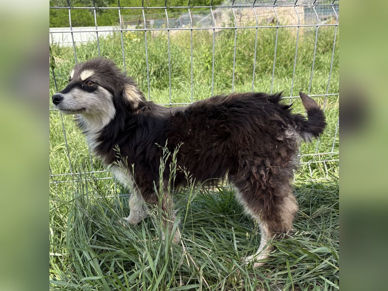 Esther - schüchtern und verträglich
