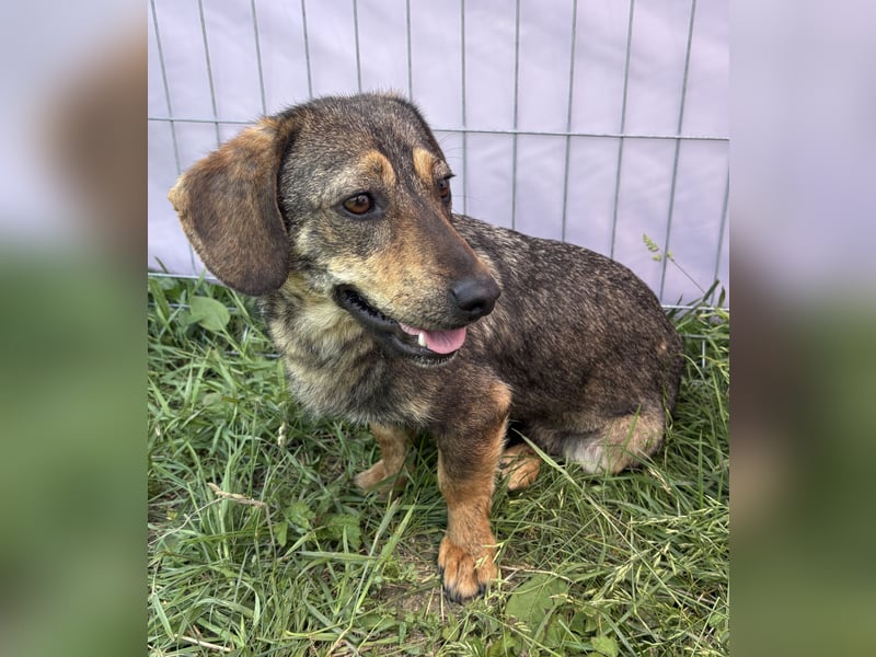 Leila - neugierig und interessiert