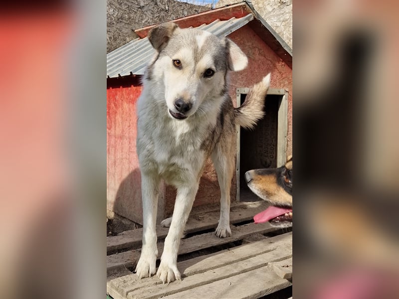 Naomi - agil und aufgeschlossen