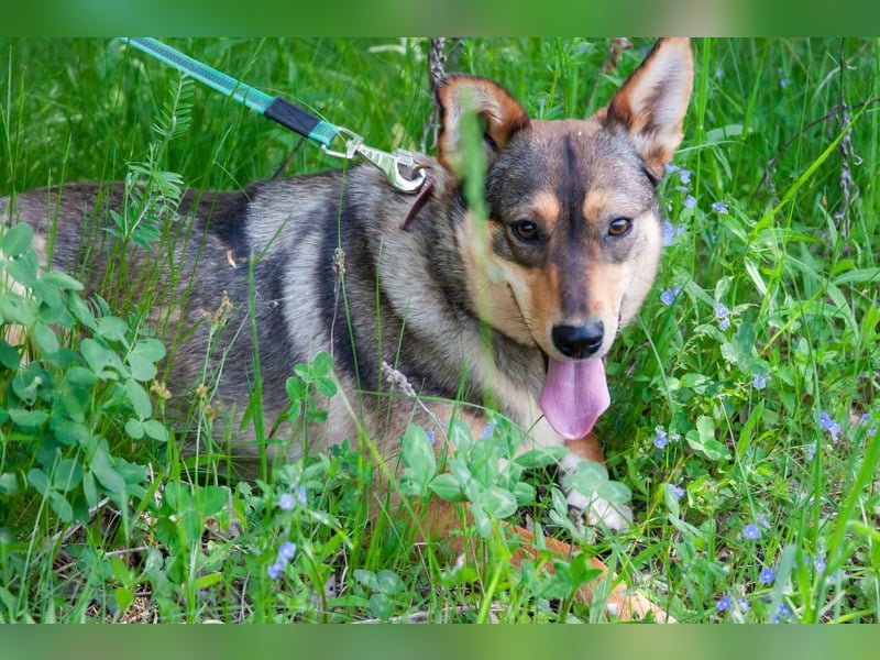 Kinderliebe LEYLA sucht eine Familie