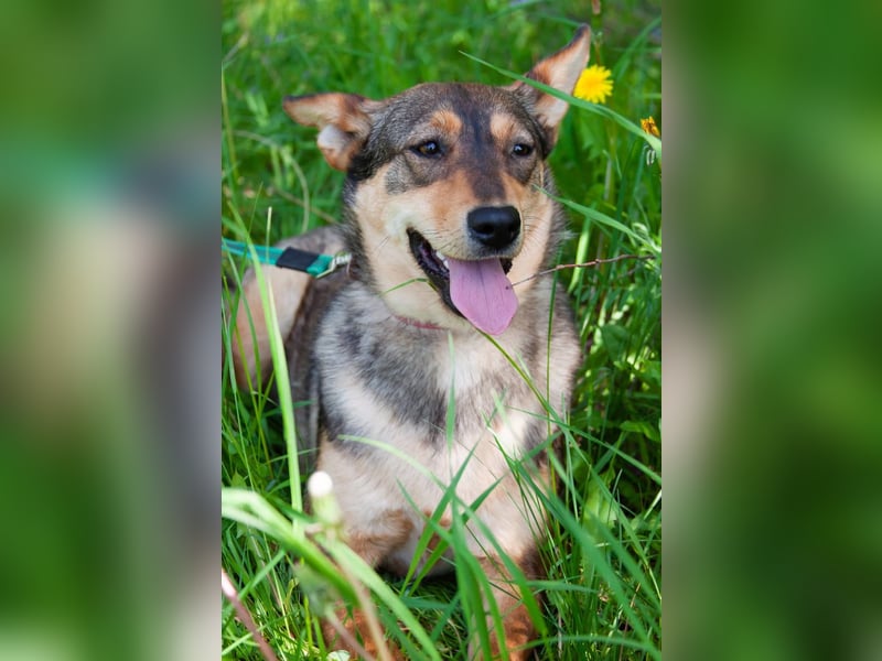 Kinderliebe LEYLA sucht eine Familie