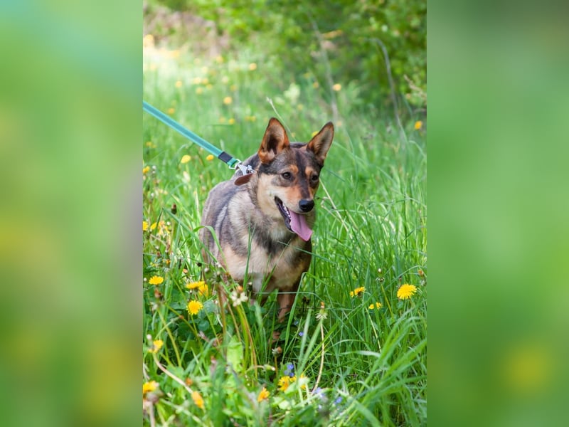 Kinderliebe LEYLA sucht eine Familie
