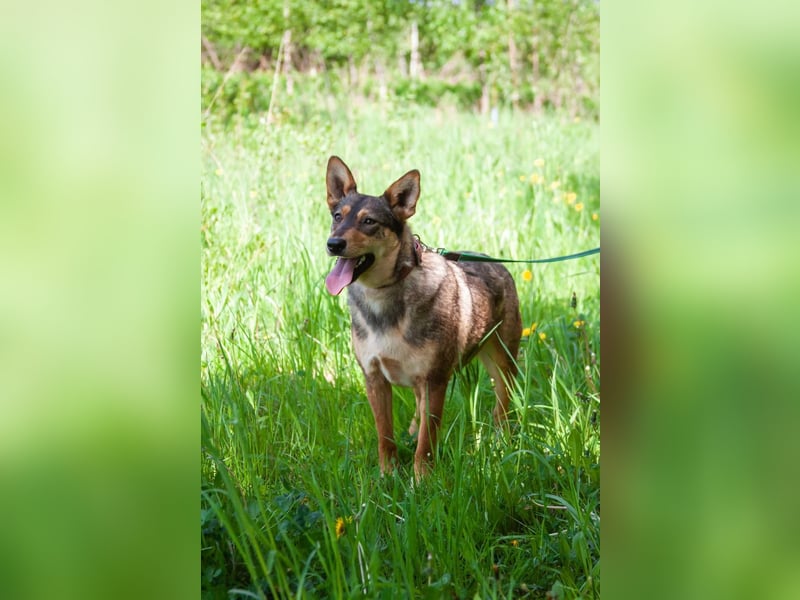 Kinderliebe LEYLA sucht eine Familie