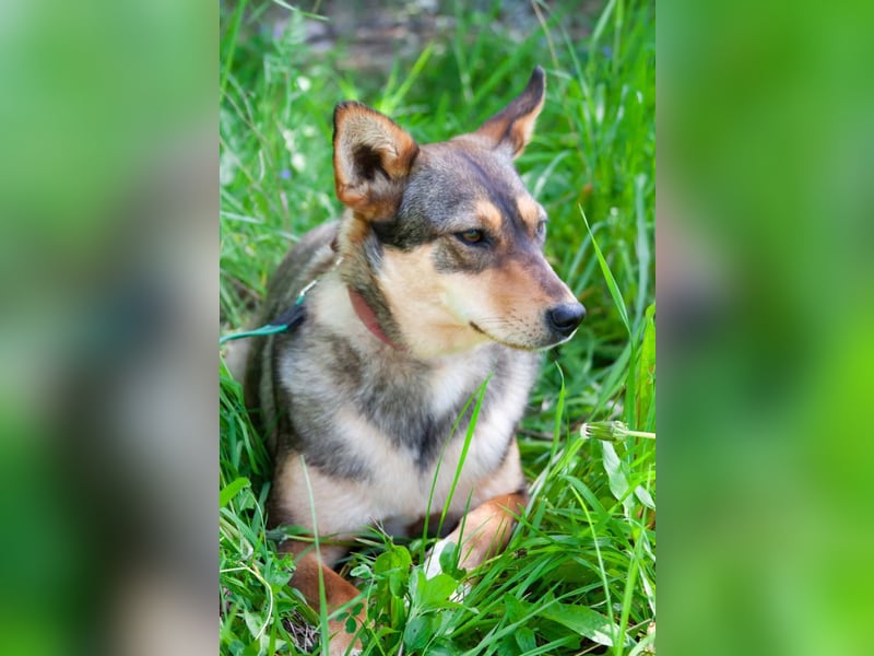 Kinderliebe LEYLA sucht eine Familie