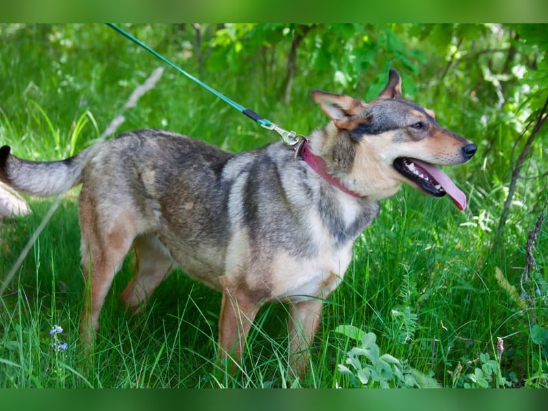 Kinderliebe LEYLA sucht eine Familie