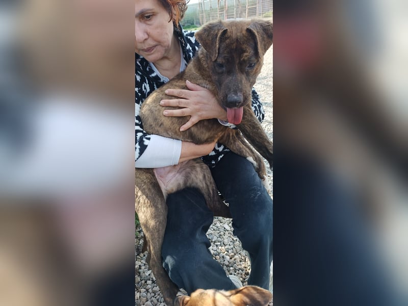 Solange sucht ihr Zuhause