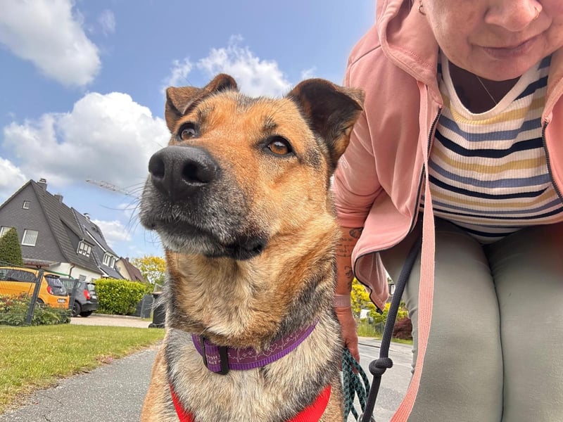 Lola wünscht sich ihre Menschen