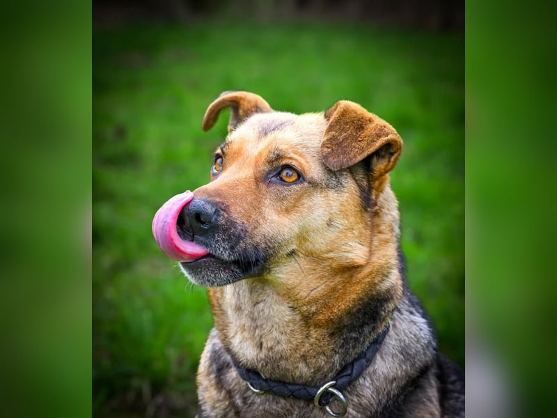 Lola wünscht sich ihre Menschen