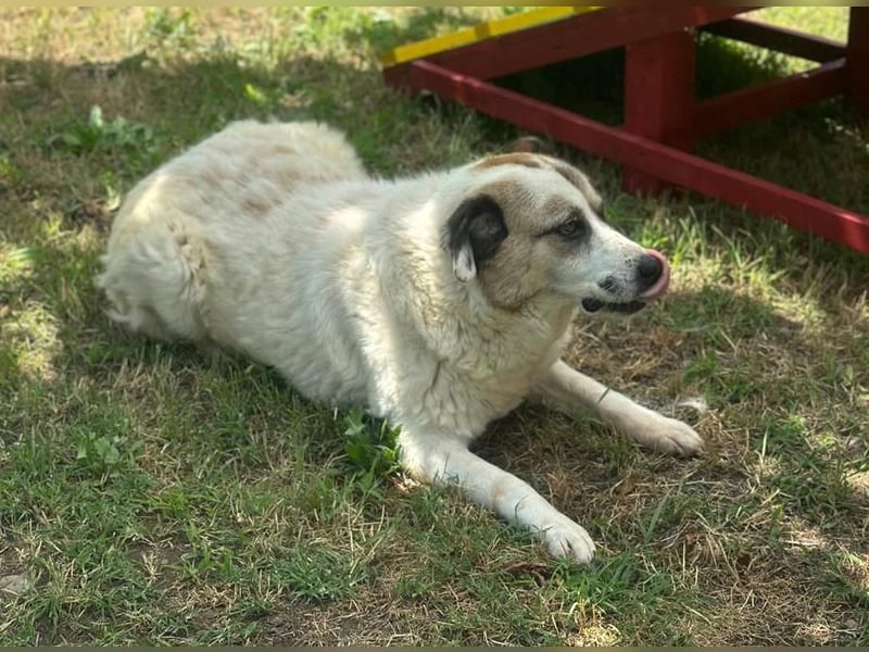 TAMIKA – Kraftvoll, herzlich und bereit für ihr Happy End 