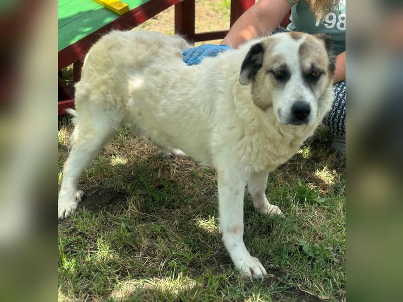 TAMIKA – Kraftvoll, herzlich und bereit für ihr Happy End 