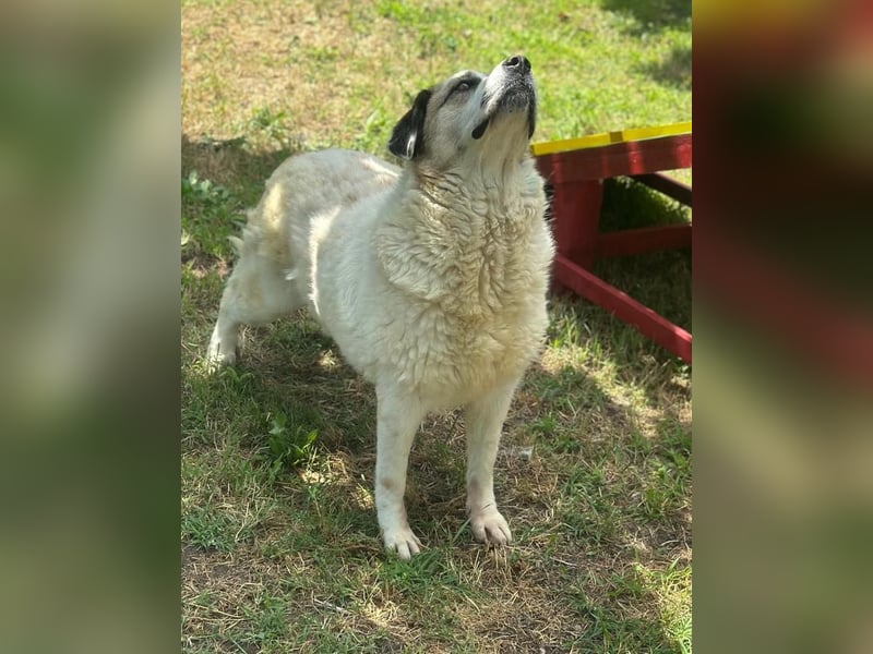 TAMIKA – Kraftvoll, herzlich und bereit für ihr Happy End 