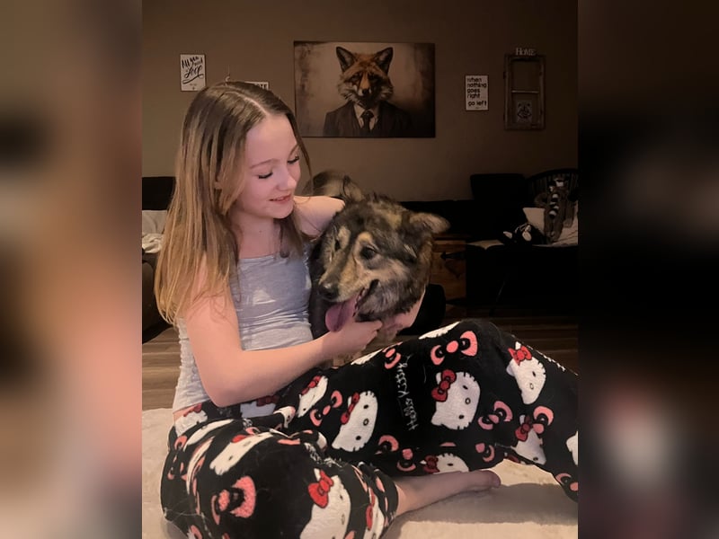 Polly sucht ihr Glück