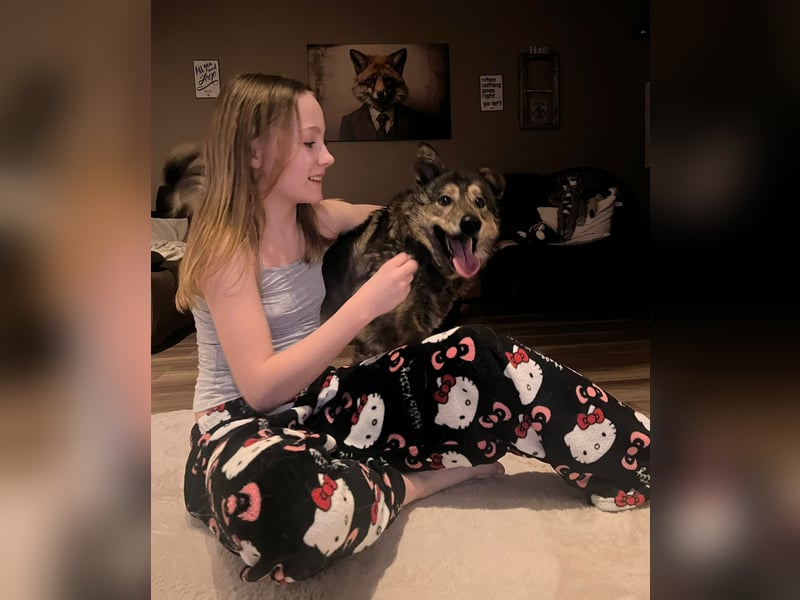 Polly sucht ihr Glück