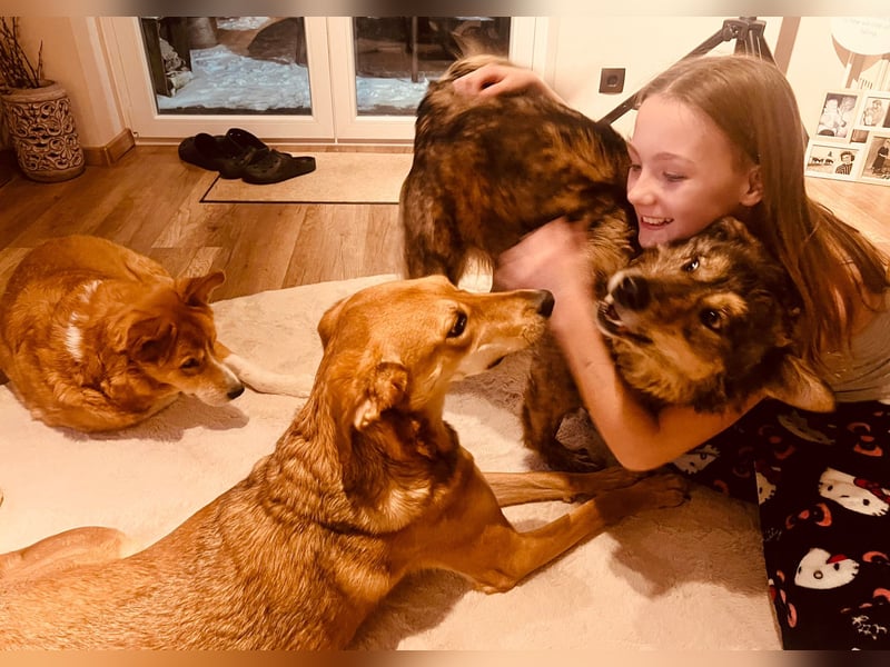 Polly sucht ihr Glück