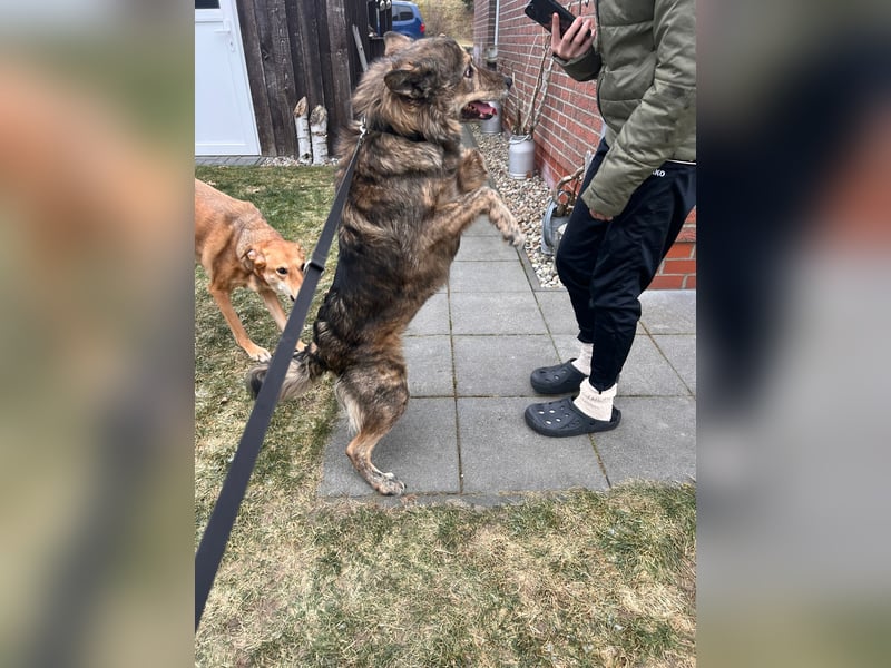 Polly sucht ihr Glück